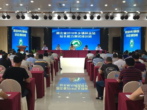 20180702林业站长培训班图片_副本.jpg